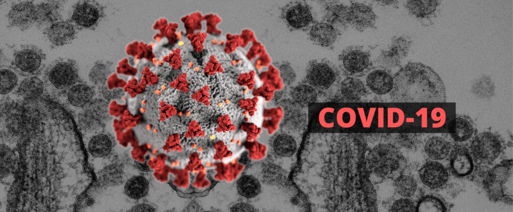 essay on coronavirus