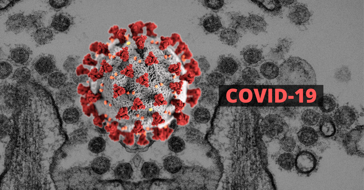 essay/nibandh on coronavirus in hindi
