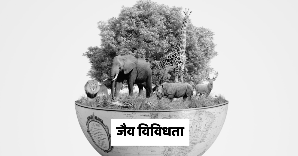 Jaiv Vividhata के संरक्षण और लाभ | जैव विविधता की हानि के कारण